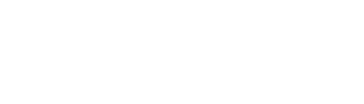 Brian Swan logo